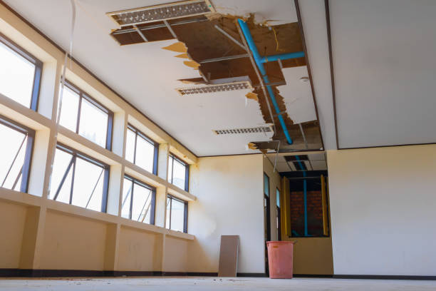 Best Commercial water damage restoration  in Durant, MS