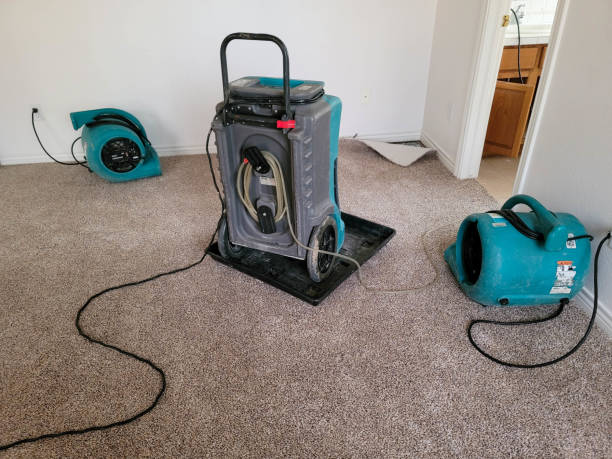 Best Residential water damage restoration  in Durant, MS
