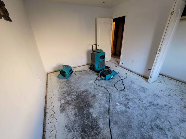 Best Water damage restoration near me  in Durant, MS