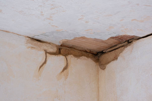 Best Fire Damage Restoration  in Durant, MS