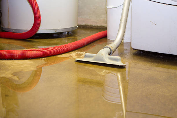 24/7 water damage repair in MS