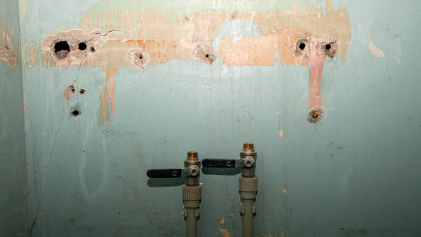 Best Flooded house restoration  in Durant, MS
