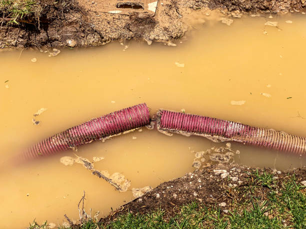 Best Emergency water damage restoration  in Durant, MS