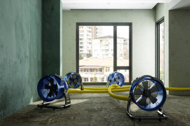 Best Basement water damage restoration  in Durant, MS